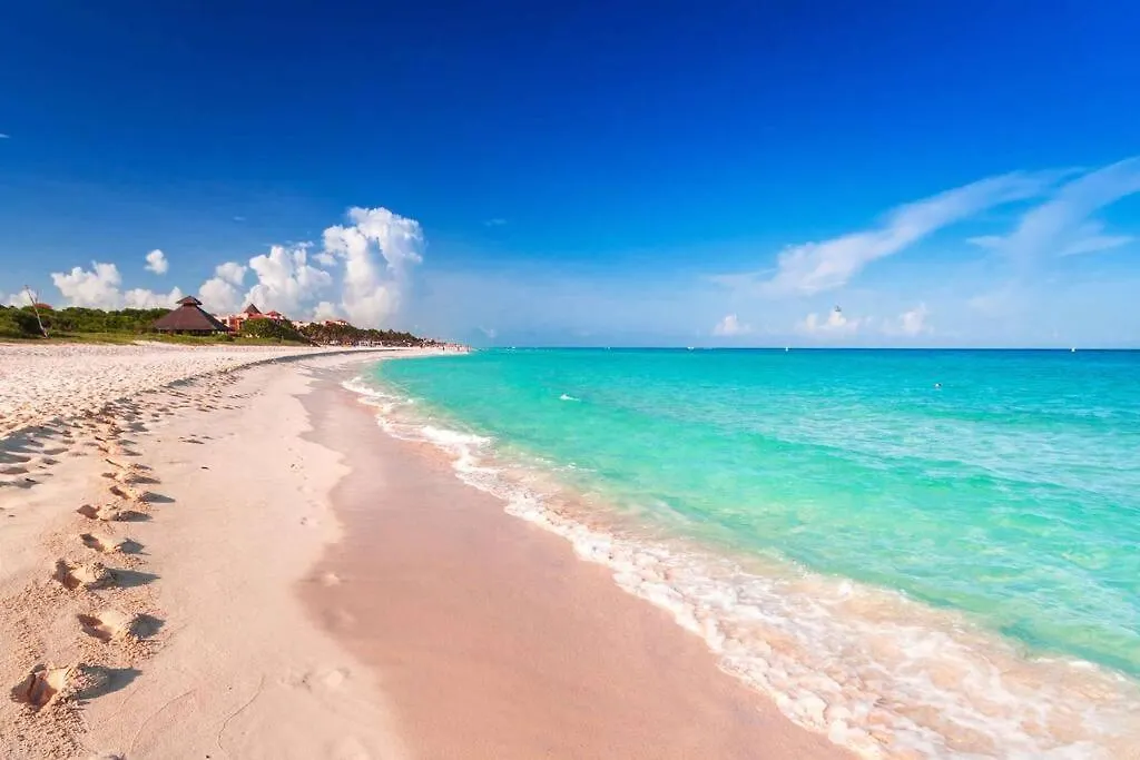 Διαμέρισμα Gorgeus Condo 1 Block 5Ta - Beach 5 Min. Walking Πλάγια Ντελ Κάρμεν